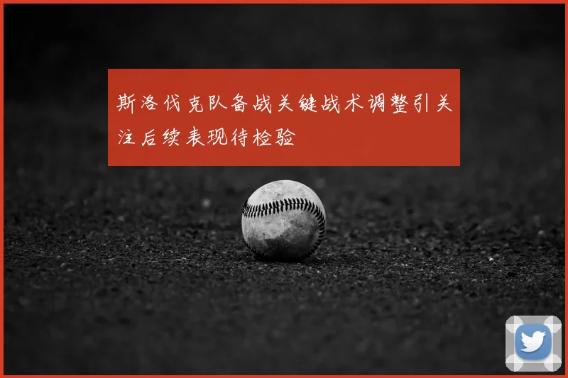 斯洛伐克队备战关键战术调整引关注后续表现待检验